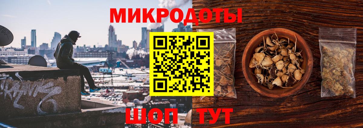 Галлюциногенные грибы Cubensis Балашов