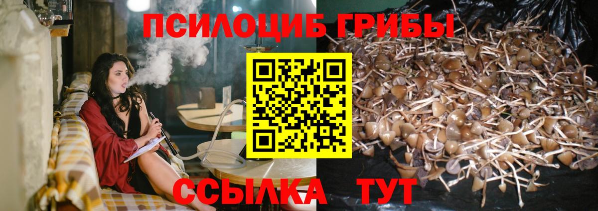Псилоцибиновые грибы Magic Shrooms  Вход с VPN  Галлюциногенные грибы MAGIC MUSHROOMS  Балашов 